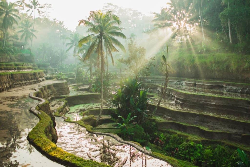 bali