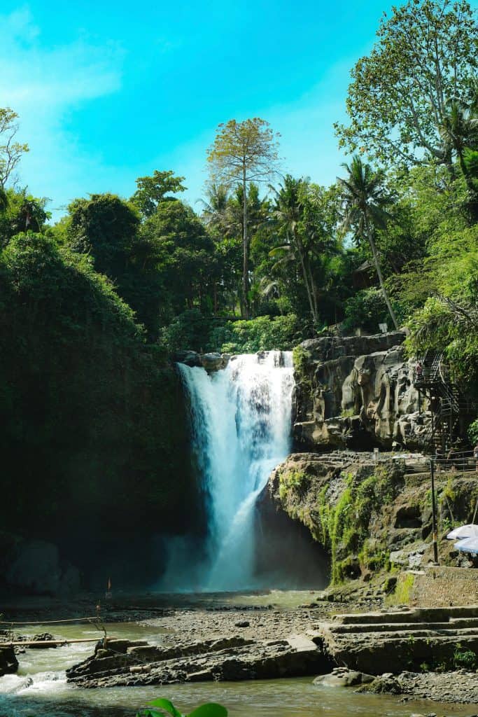 bali