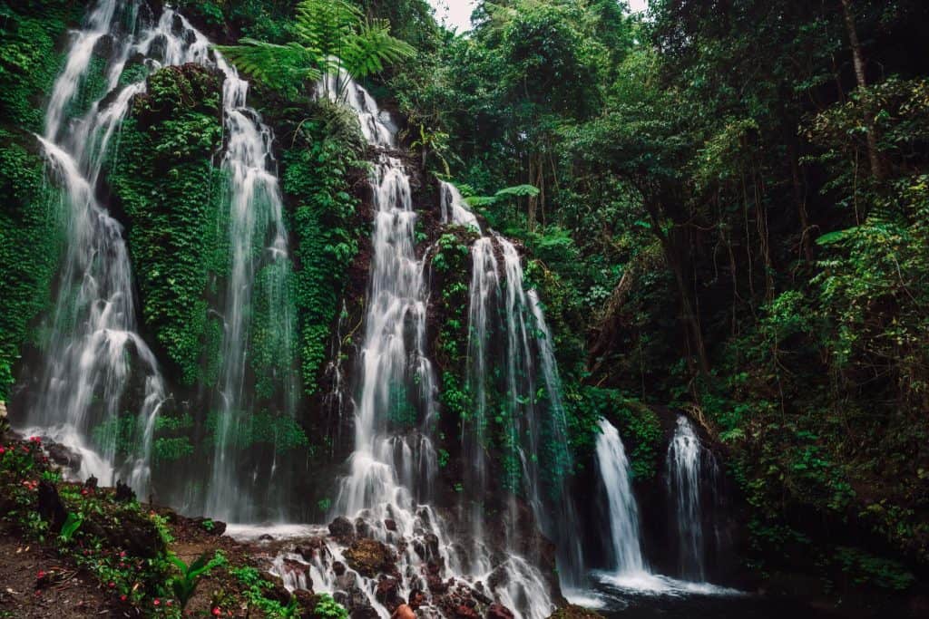 bali